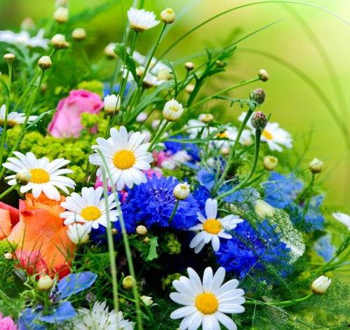 女3在线观看,在线观看，揭秘女性成长与蜕变之旅